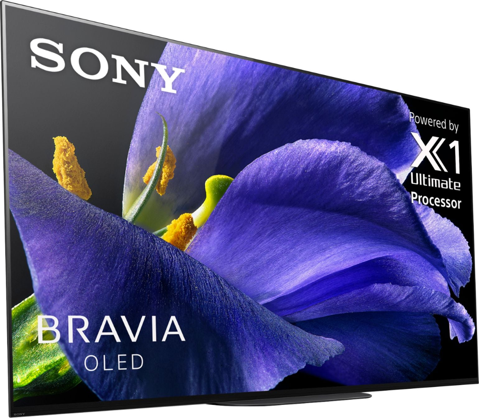 Sony XBR-55A9G 55 Inch TV: MASTER Series BRAVIA OLED 4K Ultra HD Smart –  Game Liquidations